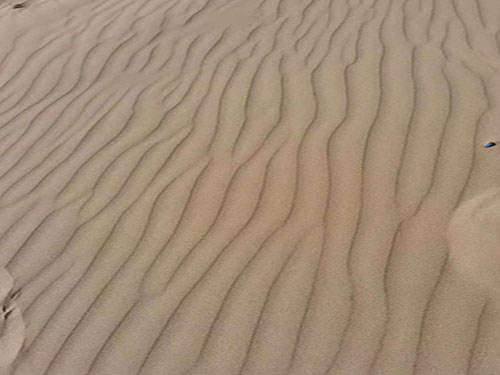 銀川沙漠3.jpg 銀川沙漠3.jpg