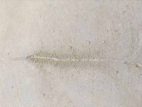 QQ圖片20171108202500.jpg QQ圖片20171108202500.jpg