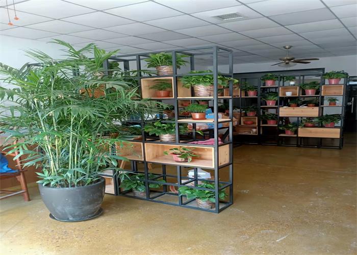 辦公室照片.jpg 辦公室照片.jpg