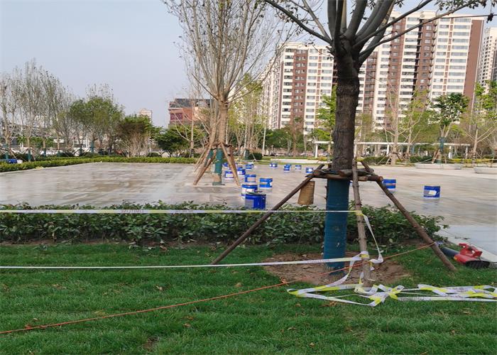 紫荊公園.jpg 紫荊公園.jpg